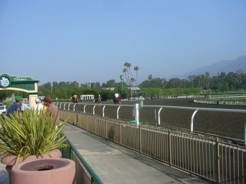 tasteofarcadia_04.jpg